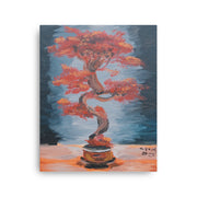 Japanese maple bonsai thin canvas print