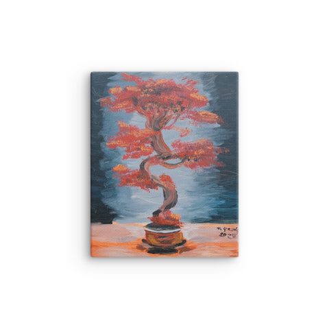 Japanese maple bonsai thin canvas print